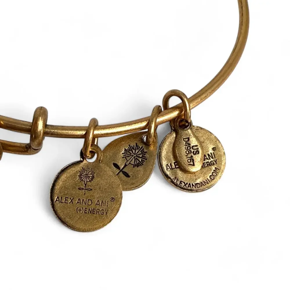 Alex and Ani Anchor and Rope Gold Tone Bangle Bracelet Nautical